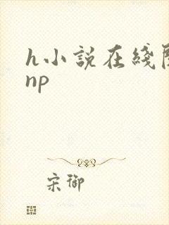h小说在线阅读np
