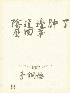 阴道边肿了是怎么回事