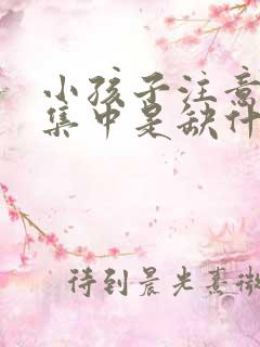 小孩子注意力不集中是缺什么