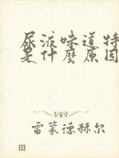 尿液味道特别大是什么原因造成的