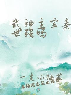 武神主宰秦尘前世强吗