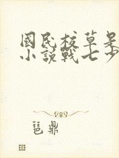 国民校草是女生小说战七少