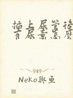 插上尿管后一直有尿意怎么办