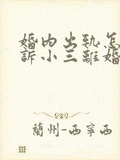 婚内出轨怎样起诉小三离婚