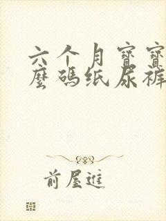 六个月宝宝用什么码纸尿裤