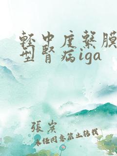 轻中度系膜增生型肾病iga