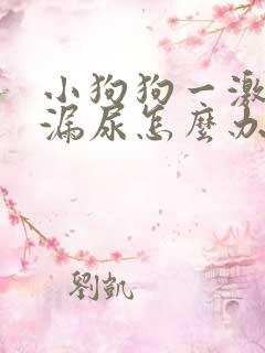 小狗狗一激动就漏尿怎么办