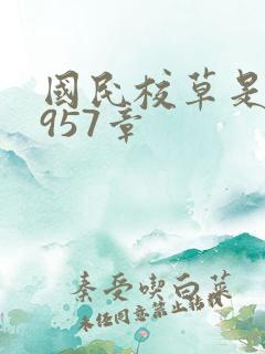国民校草是女生957章