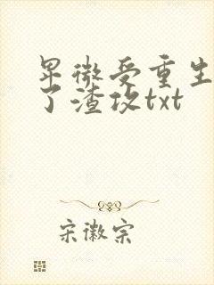 卑微受重生后成了渣攻txt