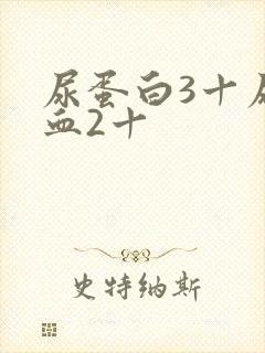 尿蛋白3十尿隐血2十