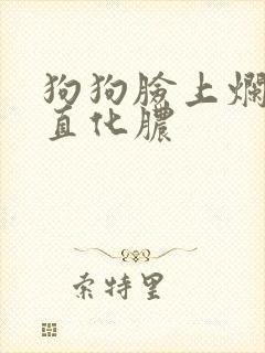 狗狗脸上烂了一直化脓