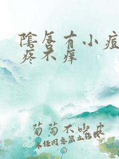 阴唇有小痘痘不疼不痒