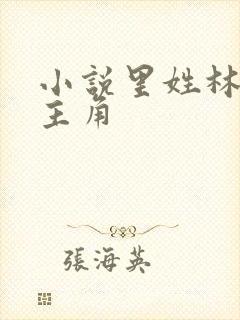 小说里姓林的男主角