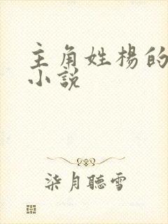 主角姓杨的都市小说