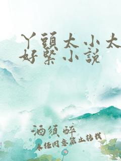 丫头太小太嫩了好紧小说