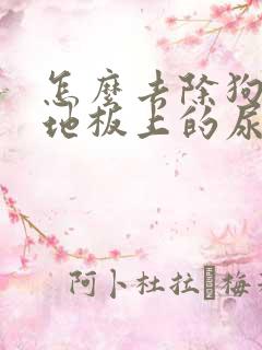 怎么去除狗狗在地板上的尿味