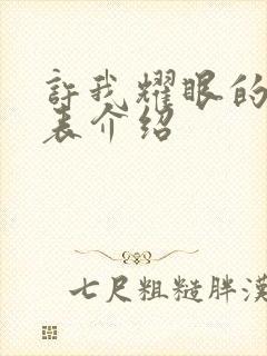 许我耀眼的演员表介绍