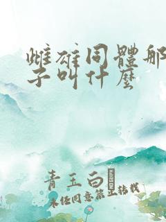 雌雄同体那个片子叫什么