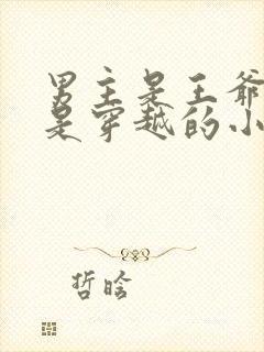 男主是王爷女主是穿越的小说