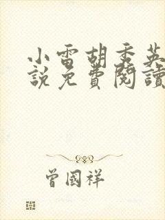 小雷胡秀英的小说免费阅读