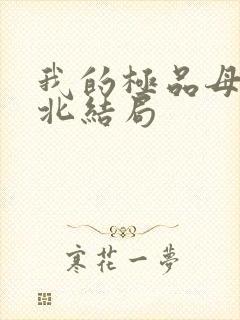 我的极品母亲叶北结局