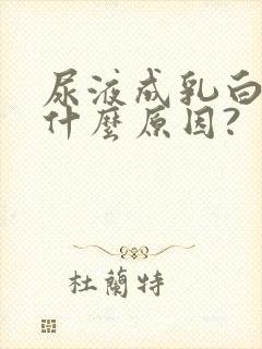 尿液成乳白色是什么原因?