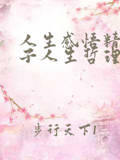 人生感悟精辟句子人生哲理