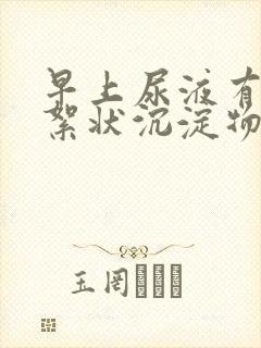 早上尿液有白色絮状沉淀物