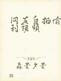 网友自拍偷拍福利视频