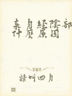 来月经阴部刺疼什么原因