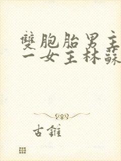 双胞胎男主共享一女主林苏