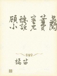 顾穗宁萧晏珩的小说免费阅读