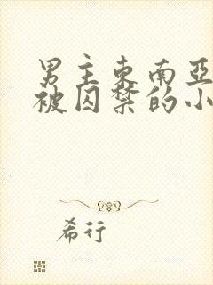 男主东南亚女主被囚禁的小说