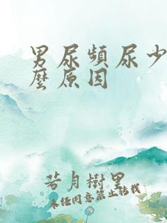 男尿频尿少是什么原因