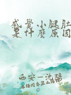 感觉小腿肚子胀是什么原因