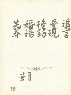 先婚后爱追妻火葬场的现言小说