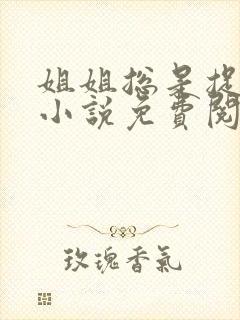 姐姐总是捉弄我小说免费阅读笔趣阁最新章节