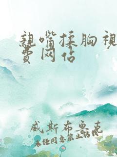 亲嘴揉胸视频免费网站