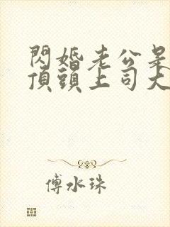 闪婚老公是我的顶头上司大结局