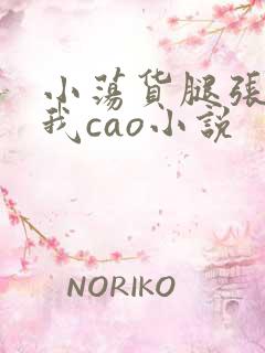 小荡货腿张开让我cao小说