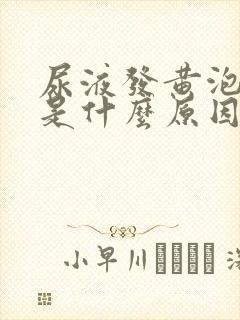 尿液发黄泡沫多是什么原因啊