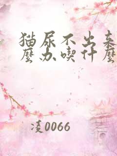 猫尿不出来尿怎么办吃什么药