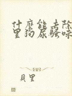 什么能去除房间里狗尿骚味