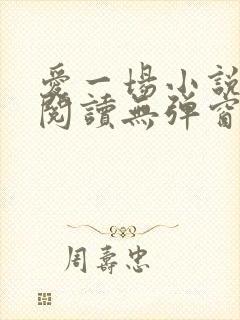 爱一场小说免费阅读无弹窗全文