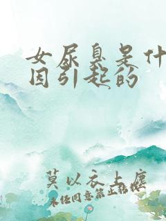 女尿臭是什么原因引起的