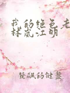 我的绝色老板娘林岚江明