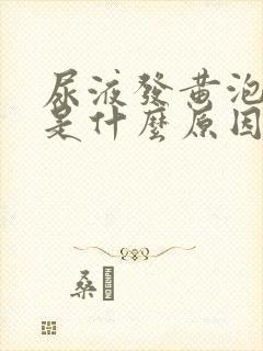 尿液发黄泡沫多是什么原因