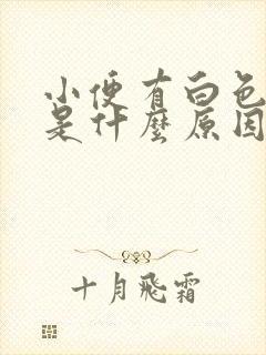 小便有白色液体是什么原因女性