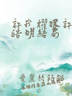 许我耀眼许妍沈皓明结局