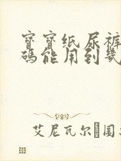 宝宝纸尿裤nb码能用到几个月